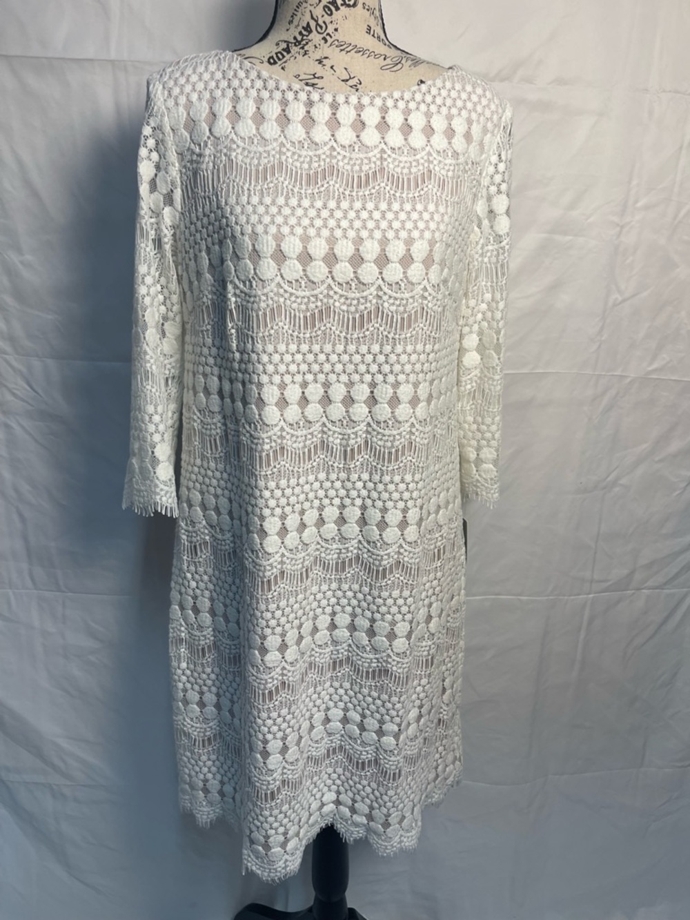 Eliza J Lace Dress Size 8 Ivory Fringe Hem Shift 3/4 Sleeve Boho Wedding Guest
